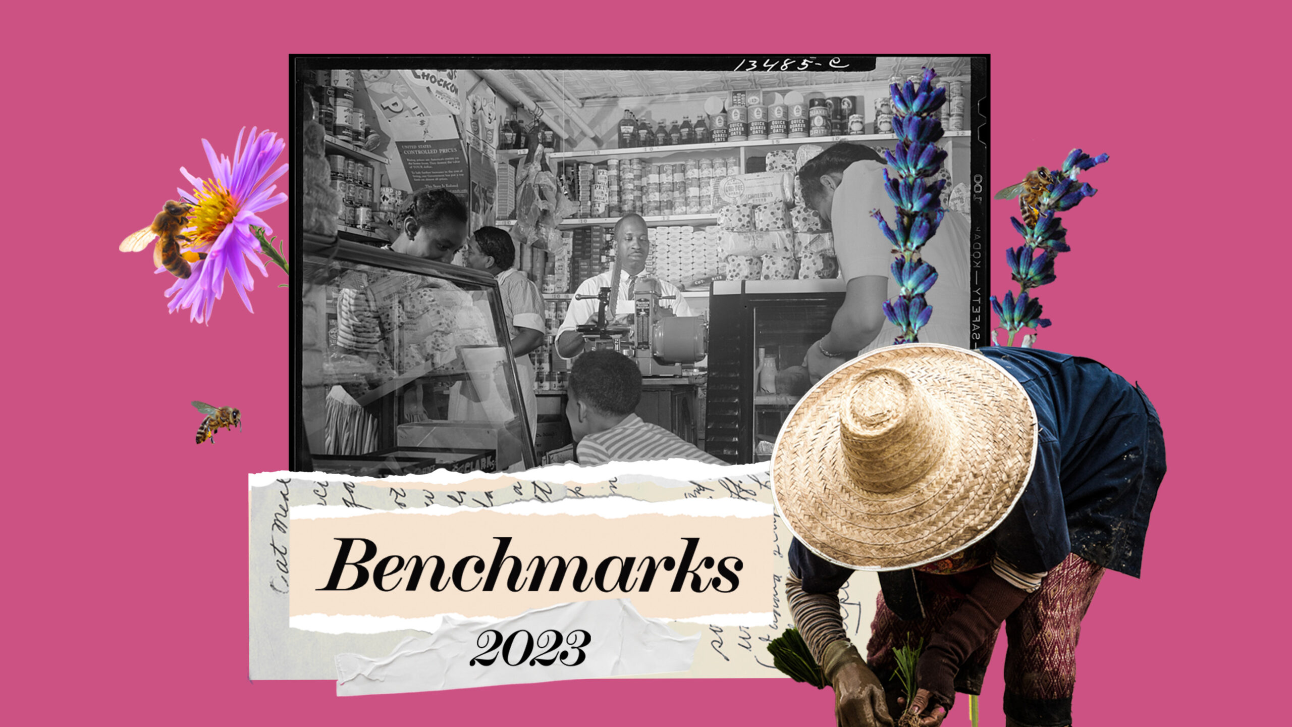 M+R Benchmarks Study 2023