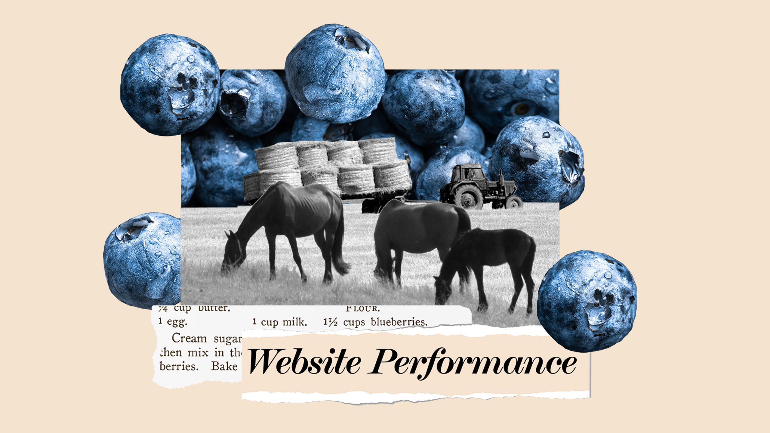 Benchmarks 2023 Website Performance Collage